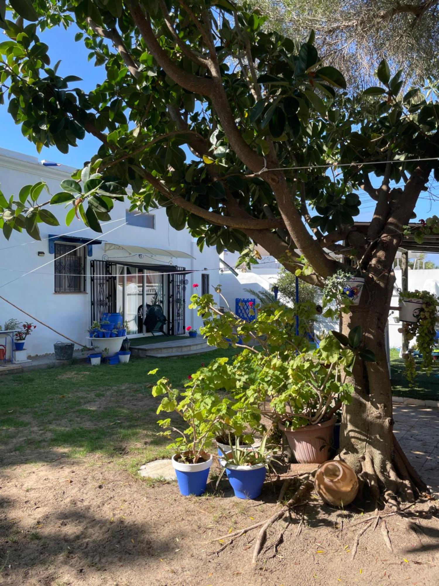 Mi Cachito Hotell Los Canos De Meca Exteriör bild